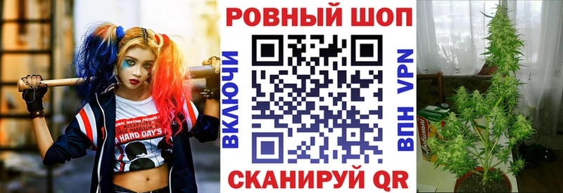 Наркошоп купить Псилоцибиновые грибы  МЕФ  APVP  LSD-25  Бошки Шишки  Кокаин  АМФ  Славянск-на-Кубани
